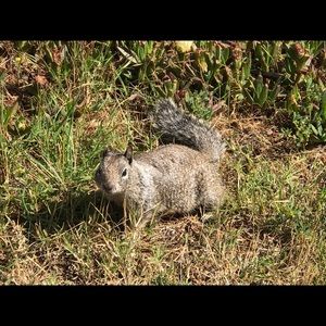 Meet your Posher, Li